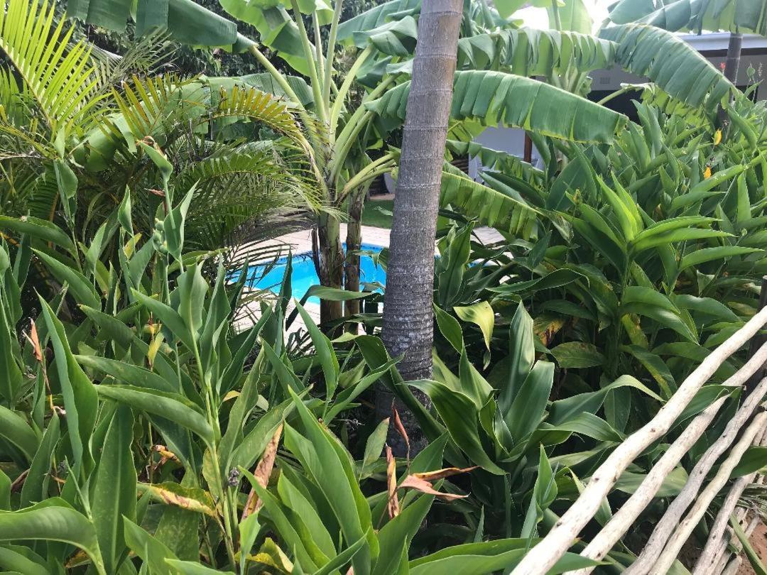 62 Hornbill Street Villa St Lucia Bagian luar foto